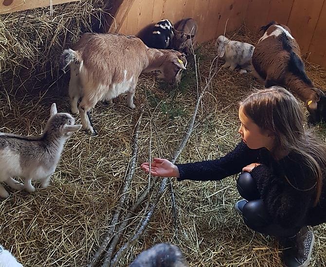 Naše Julie se stejne jako my velmi zajímá o blaho zvírat: Darí se potomkum dobre? Je stáj cistá? Je dostatek jídla?