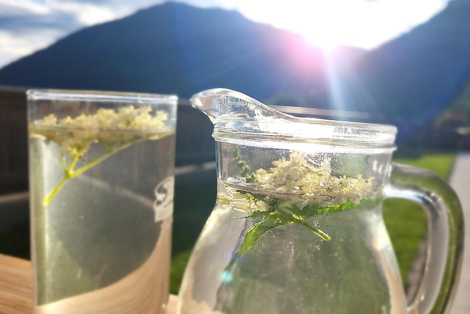 sirup z květů čer.bezu