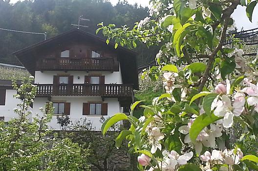Lochmannhof - list Photo