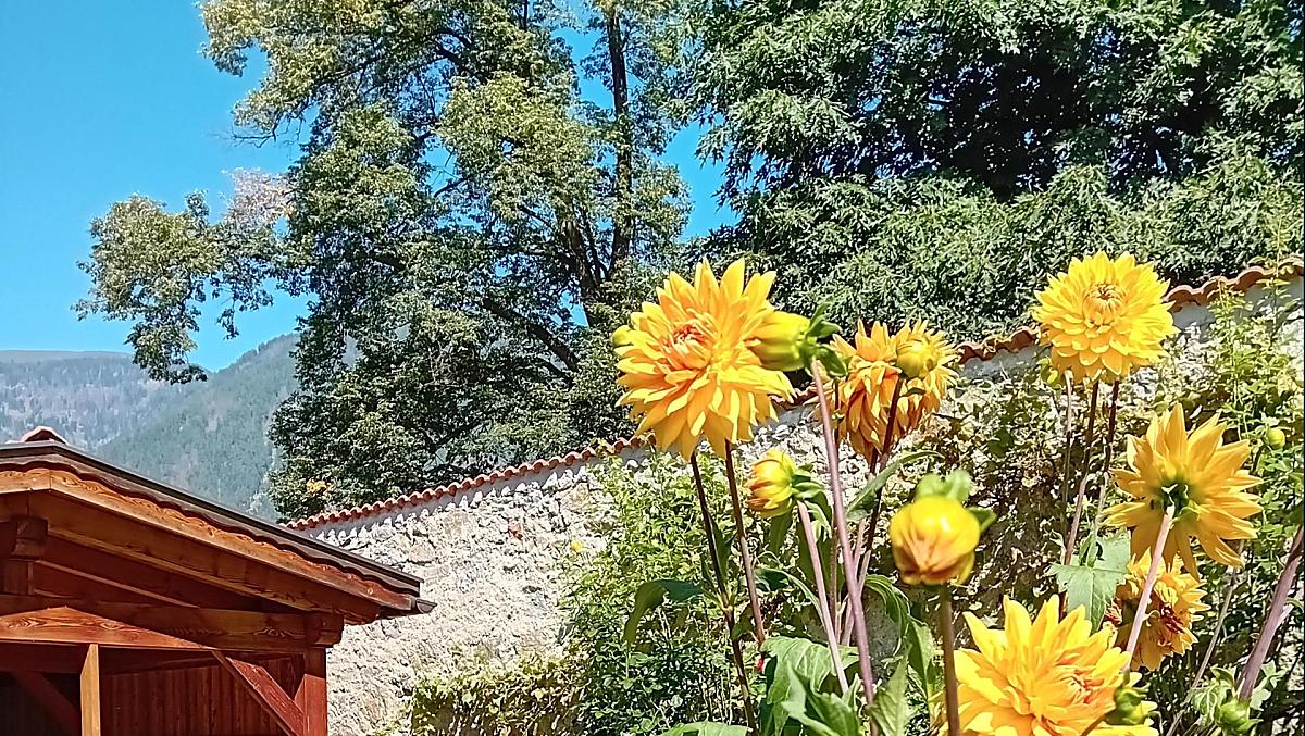 Bachlechnerhof - Fotogalerie Photo