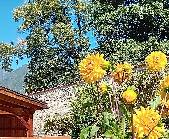 Bachlechnerhof - Fotogalerie Photo