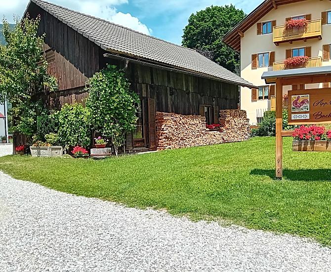 Bachlechnerhof - Fotogalerie Photo