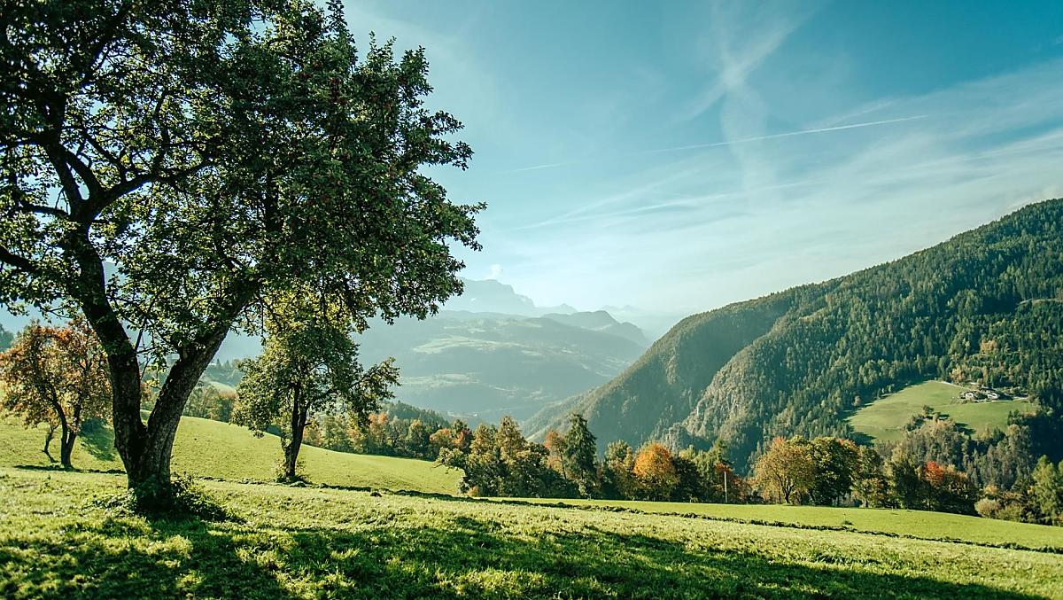 Telfnerhof - Fotogalerie Photo
