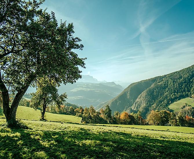 Telfnerhof - Fotogalerie Photo