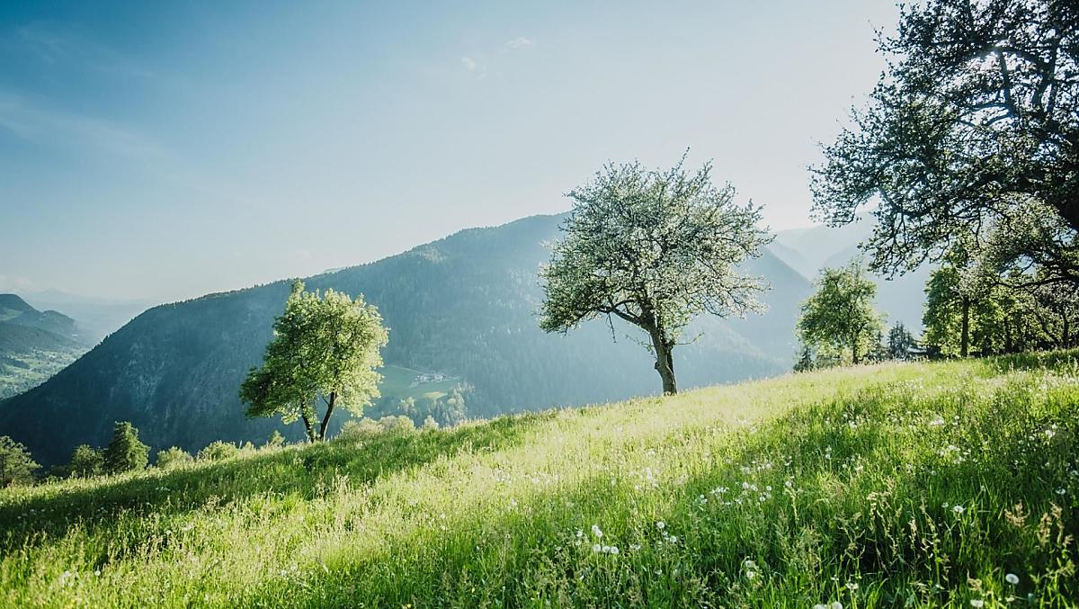 Telfnerhof - Fotogalerie Photo