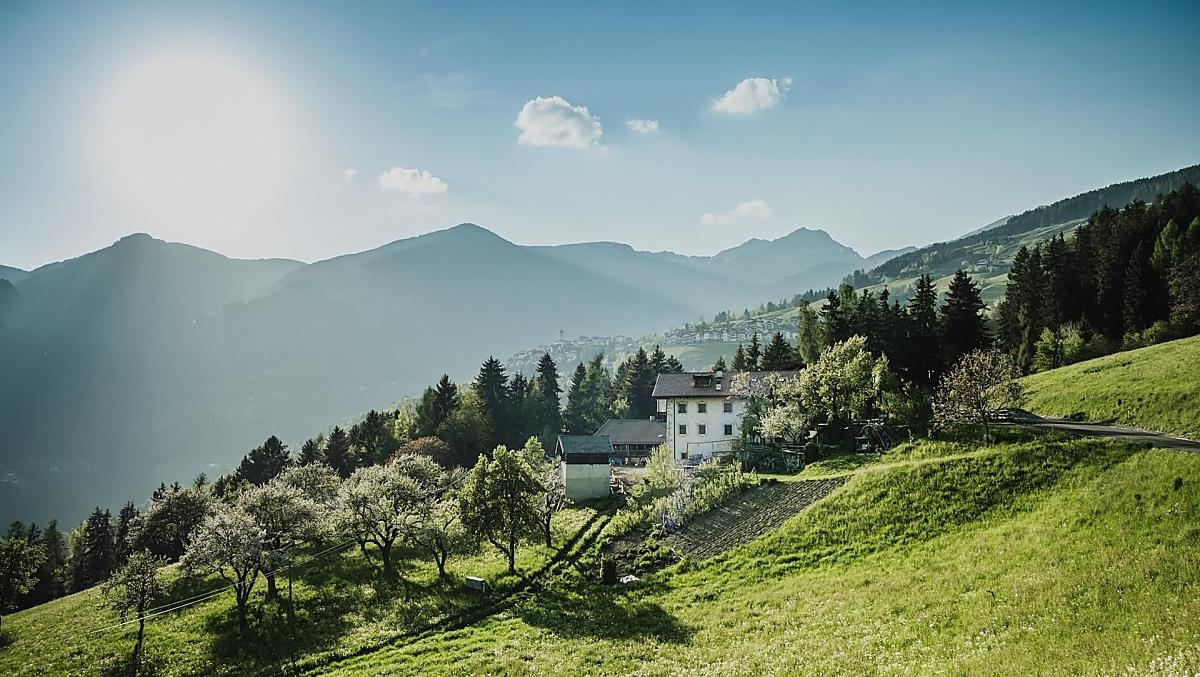 Telfnerhof - Fotogalerie Photo