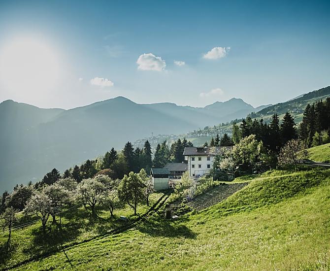 Telfnerhof - Fotogalerie Photo