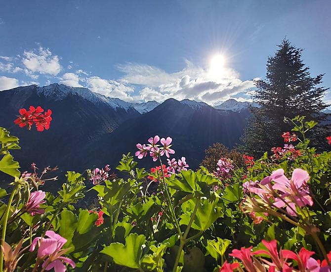 Krusterhof - Fotogalerie Photo
