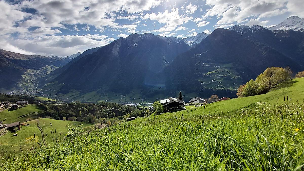 Krusterhof - Fotogalerie Photo