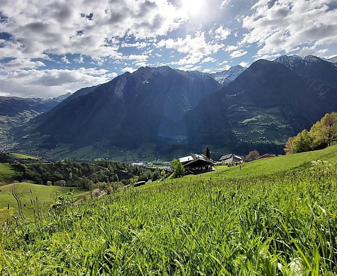 Krusterhof - Fotogalerie Photo