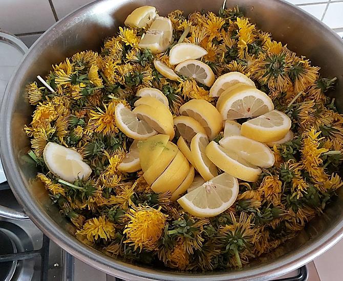 Krusterhof - Fotogalerie Photo