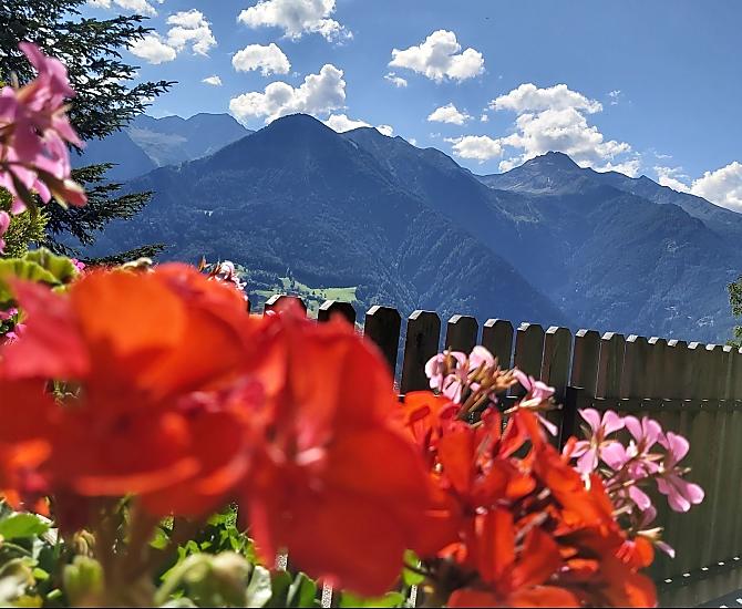 Krusterhof - Fotogalerie Photo