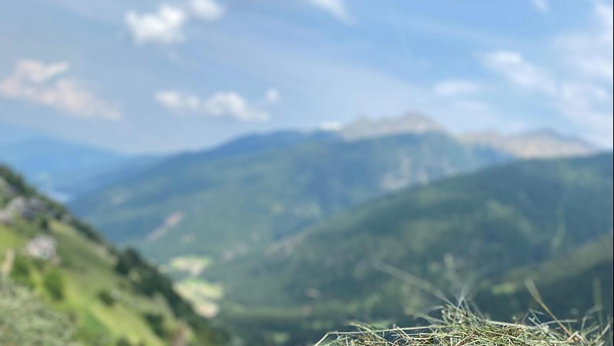 Naše sklizeň sena se vyznačuje velkým podílem ruční práce na strmých svazích.