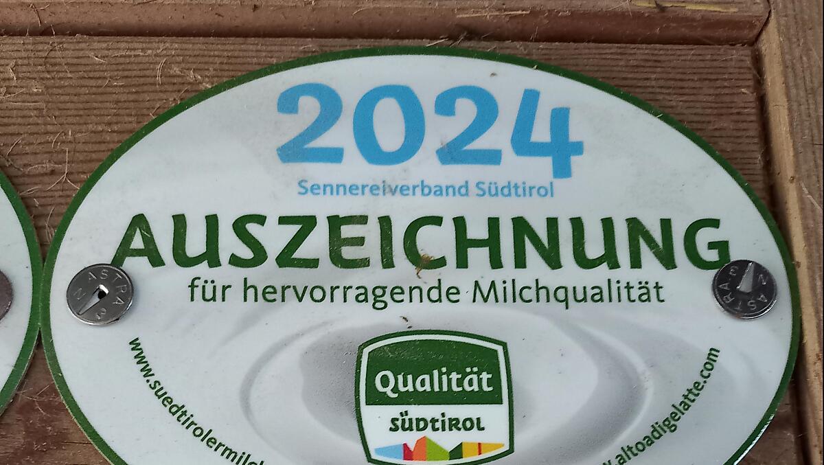 Každý rok získáváme ocenění od mlékárny za nejkvalitnější mléko.