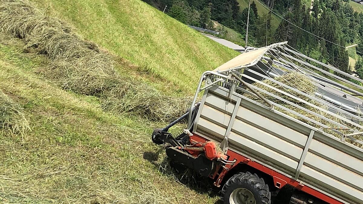 Sklizeň sena na strmých svazích