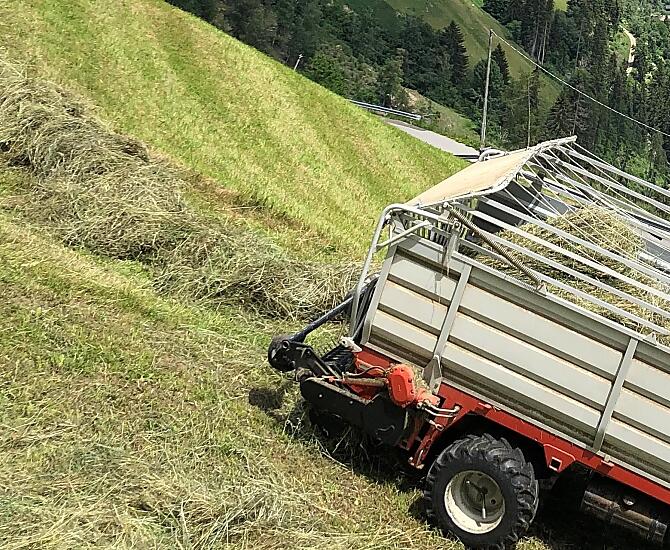Sklizeň sena na strmých svazích