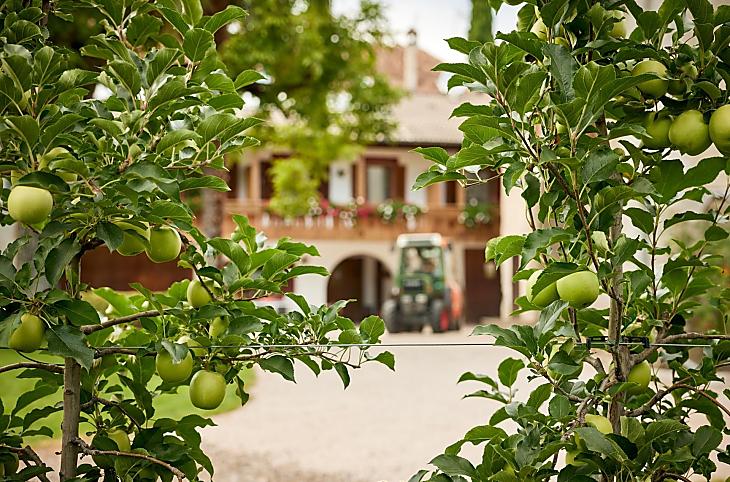 Linserhof - gallery Photo