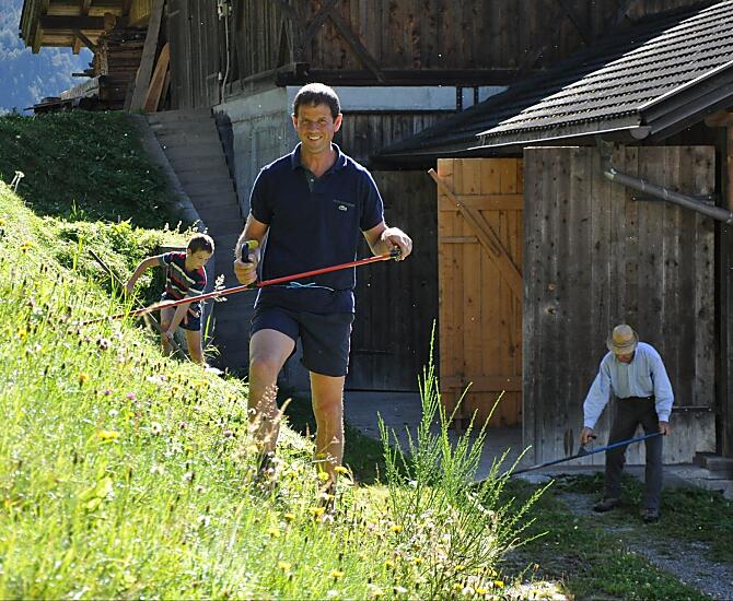 Kosení