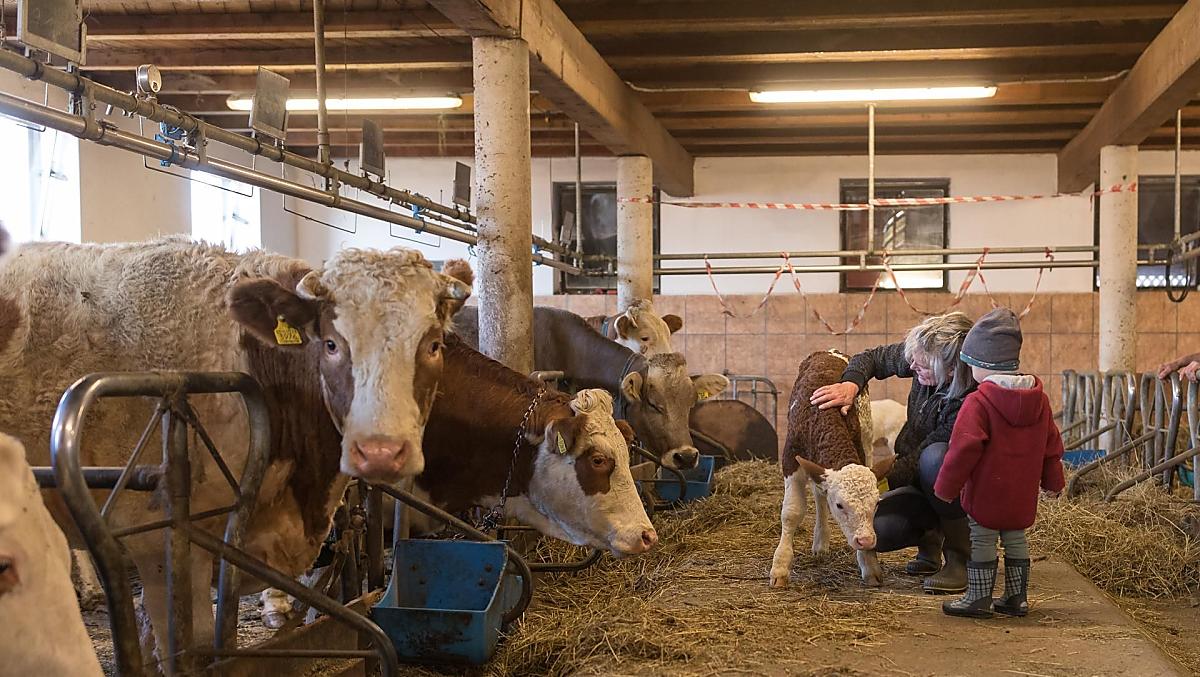 Zažijte stabilní práci – nezapomenutelný zážitek pro malé i velké.