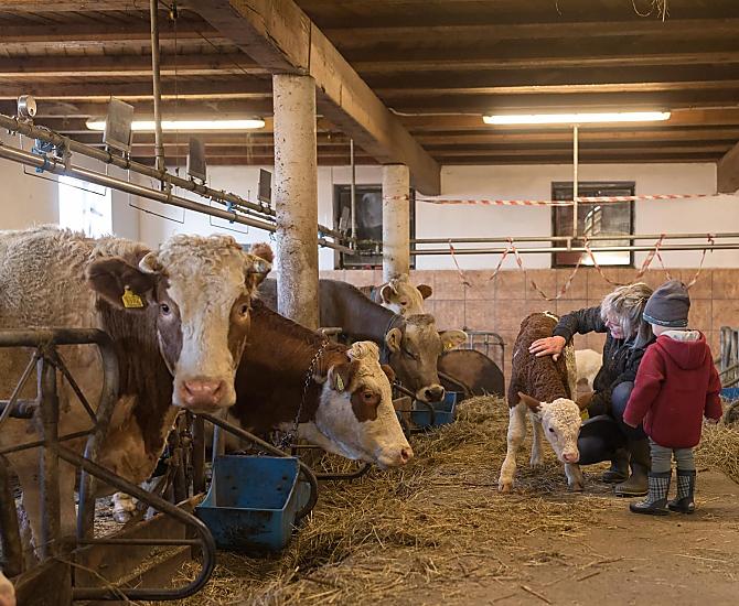 Zažijte stabilní práci – nezapomenutelný zážitek pro malé i velké.