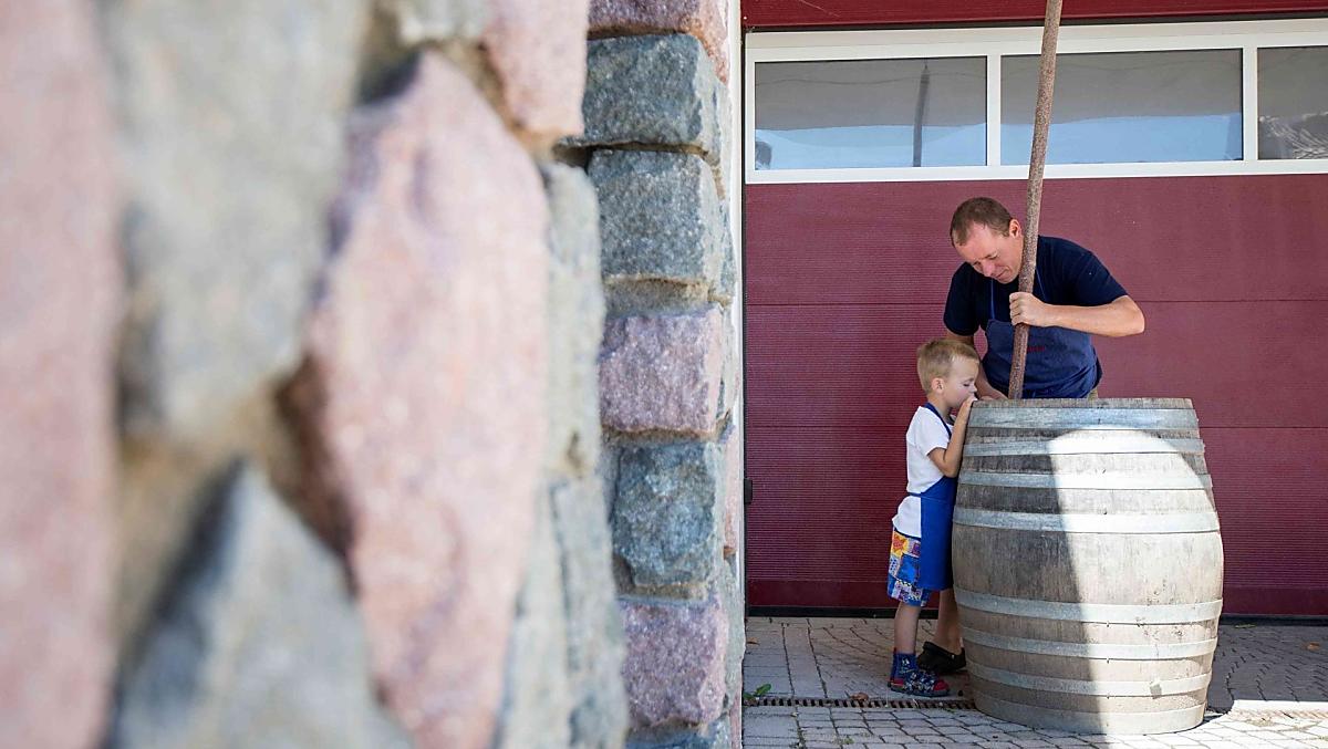 Biodynamický prípravek Kremelina z rohoviny nebo hnuj s rohovinou se míchá rucne po dobu jedné hodiny.