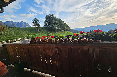 Salmseinhof - rating Photo