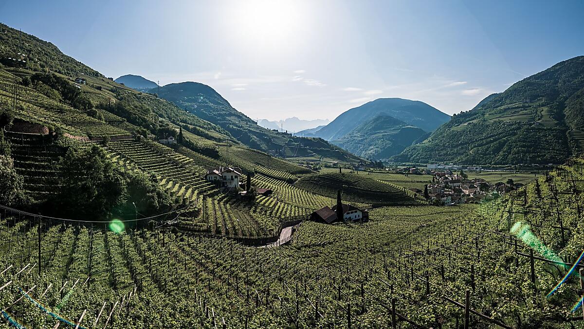 Untermoserhof - Fotogalerie Photo