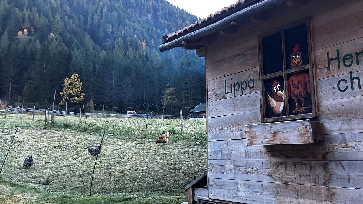 Lippenhof - Fotogalerie Photo