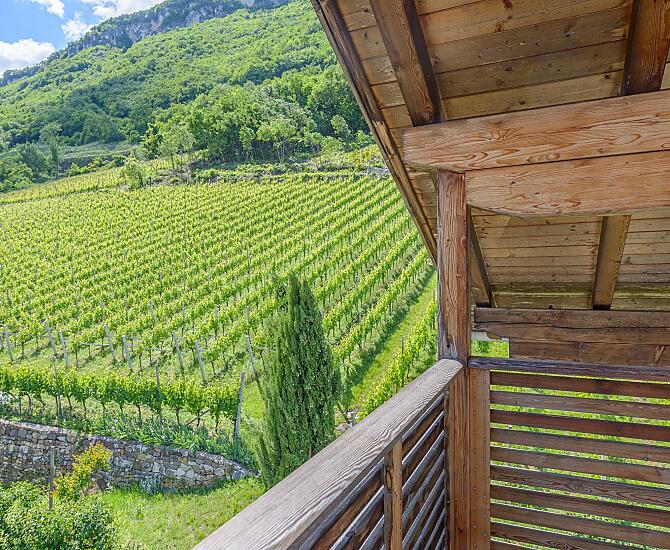 Ausblick vom südseitigem Balkon auf die Weinberge, auf die Uhrsullawond und in den Süden.