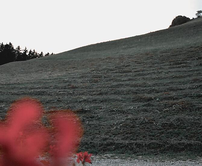 Obertimpflhof - Fotogalerie Photo